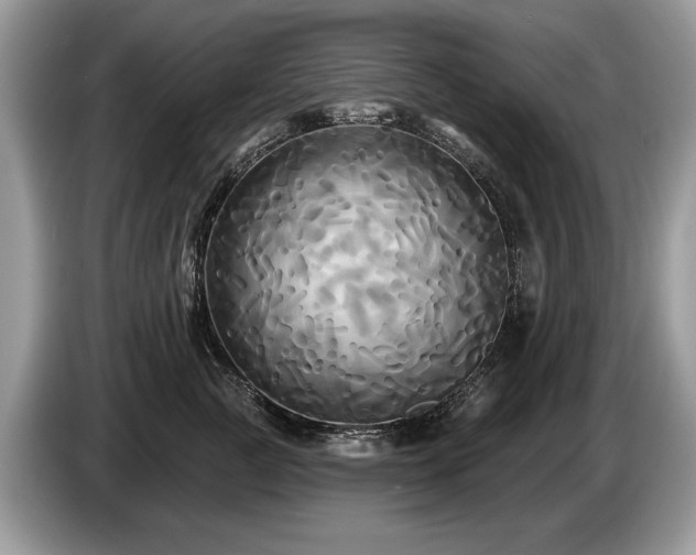 X0000087610761200704271340