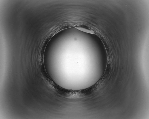 X0000087610764200704271340