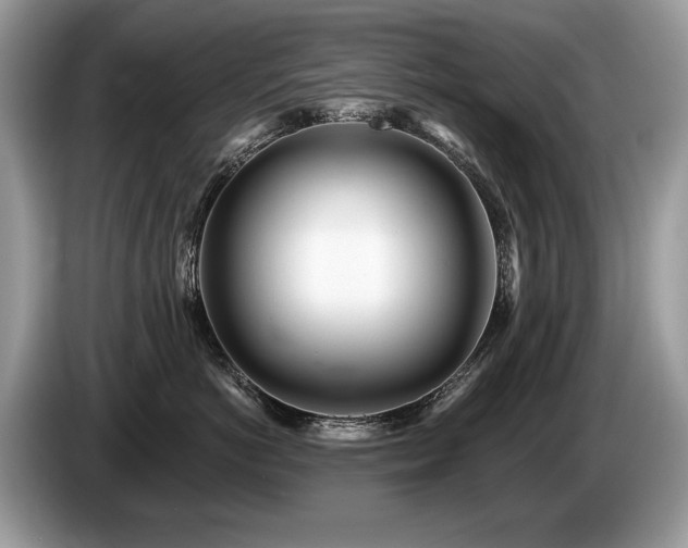 X0000087610766200704271340