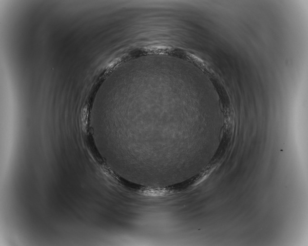 X0000087610767200704271340