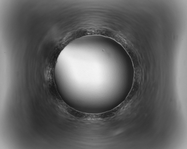 X0000087610770200704271340