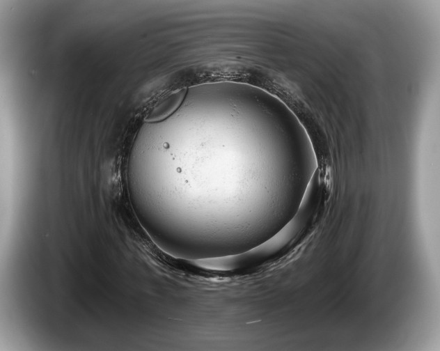 X0000087610771200704271340