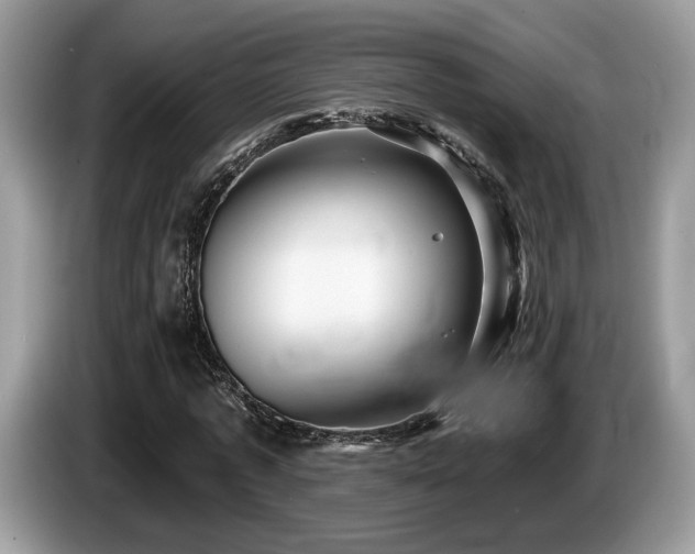 X0000087610773200704271340