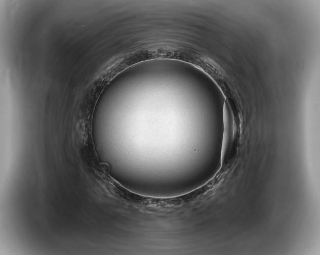 X0000087610774200704271340