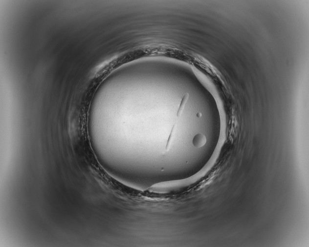 X0000087610775200704271340