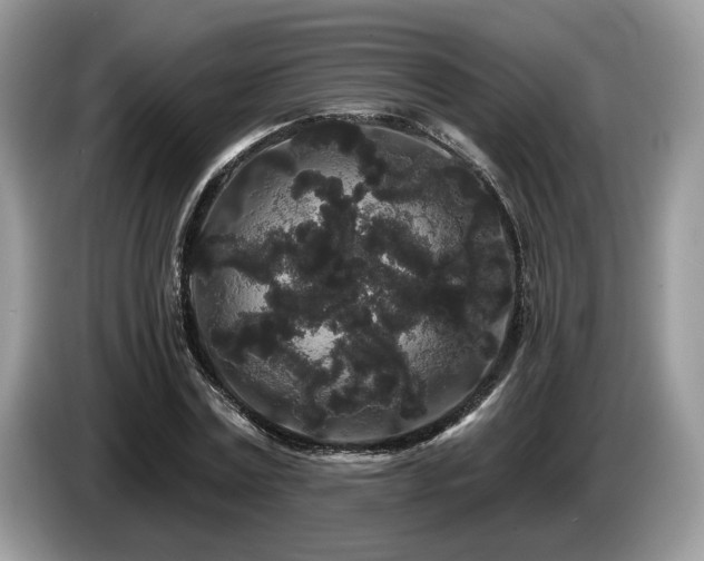 X0000087610779200704271340