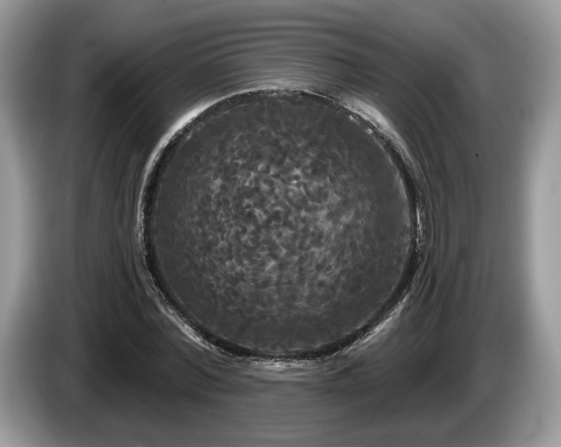 X0000087610780200704271340
