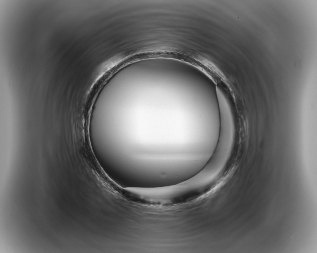 X0000087610781200704271340