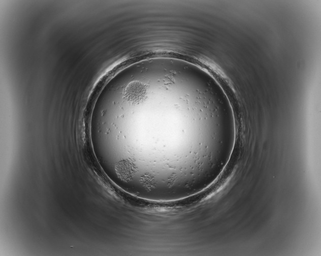 X0000087610782200704271340