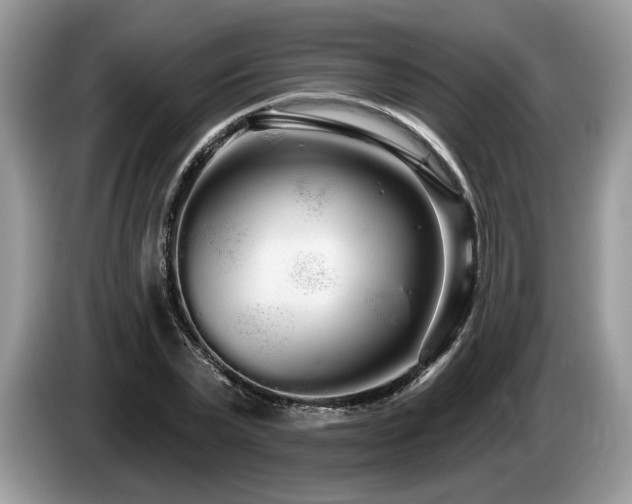 X0000087610783200704271340