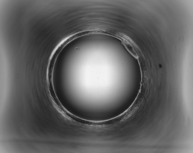 X0000087610788200704271340