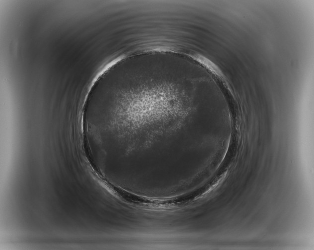 X0000087610790200704271340