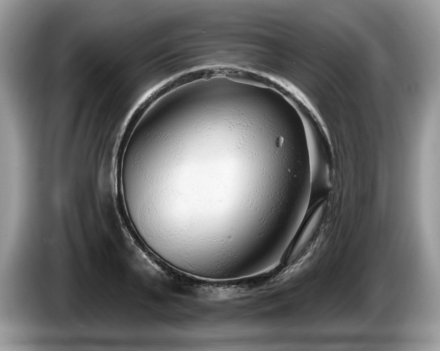 X0000087610791200704271340