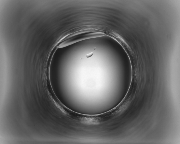 X0000087610794200704271340