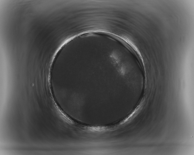 X0000087610797200704271340