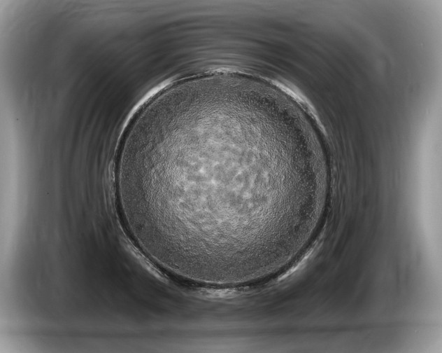 X0000087610798200704271340