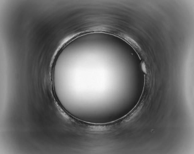 X0000087610800200704271339