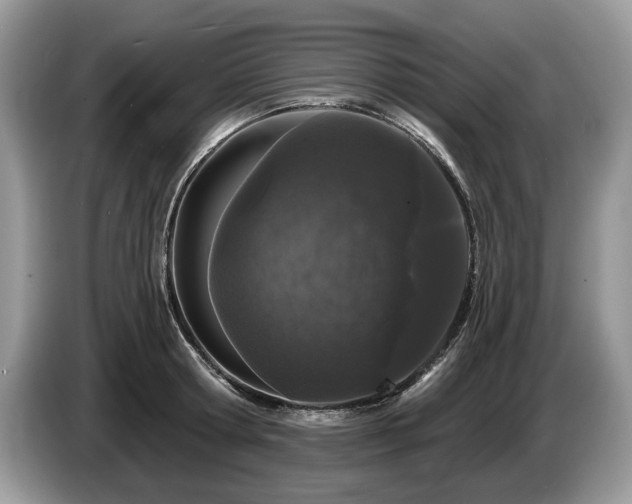 X0000087610802200704271339