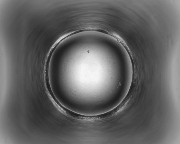X0000087610803200704271339