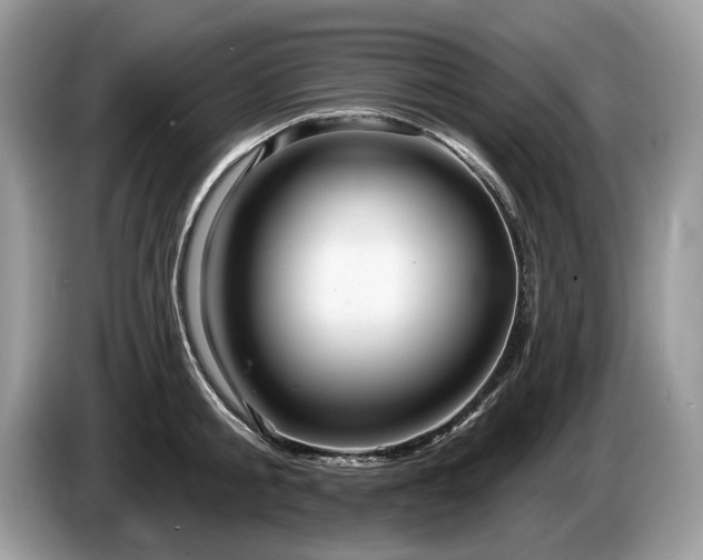 X0000087610805200704271339