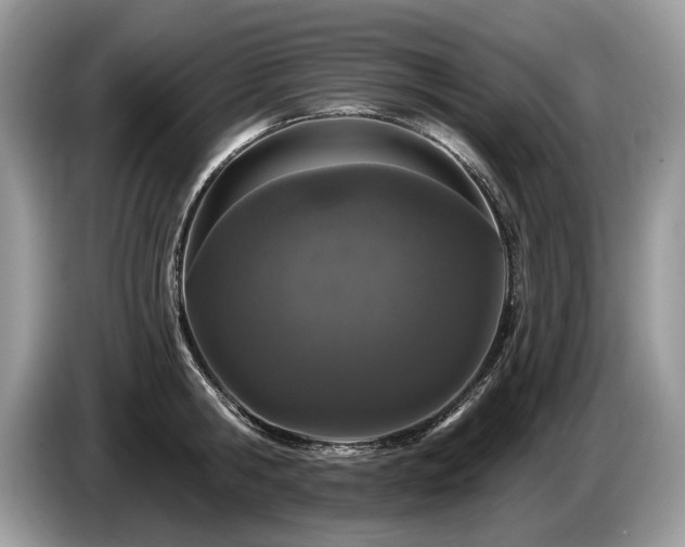 X0000087610806200704271339