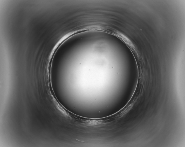 X0000087610808200704271339
