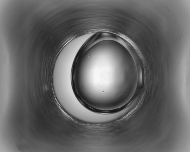 X0000087610809200704271339