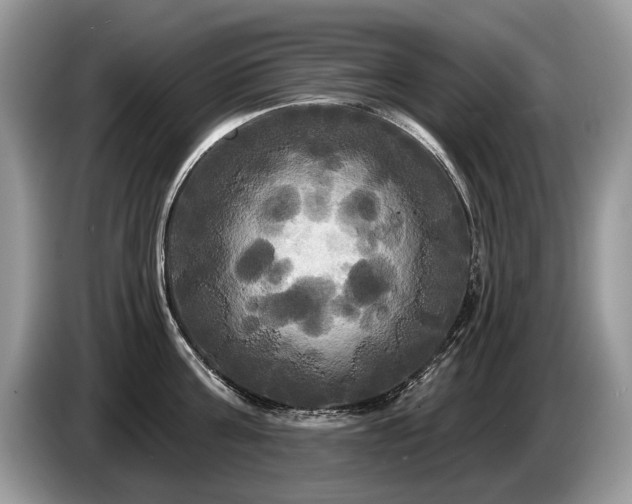 X0000087610811200704271339