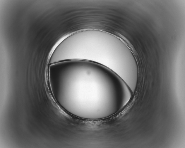 X0000087610812200704271339