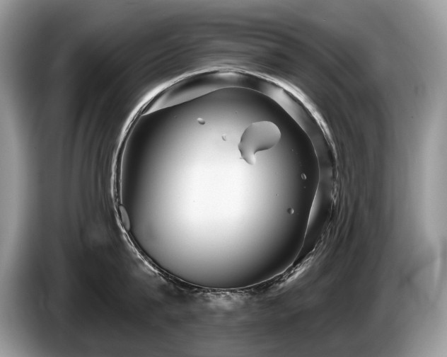 X0000087610815200704271339