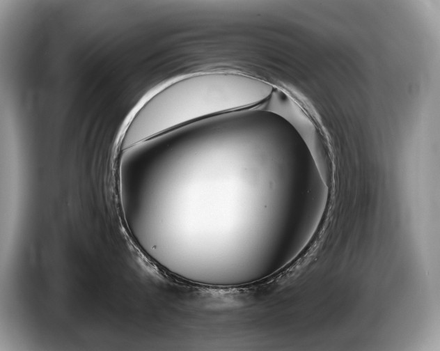 X0000087610816200704271339