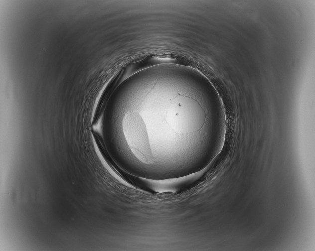 X0000087610818200704271339