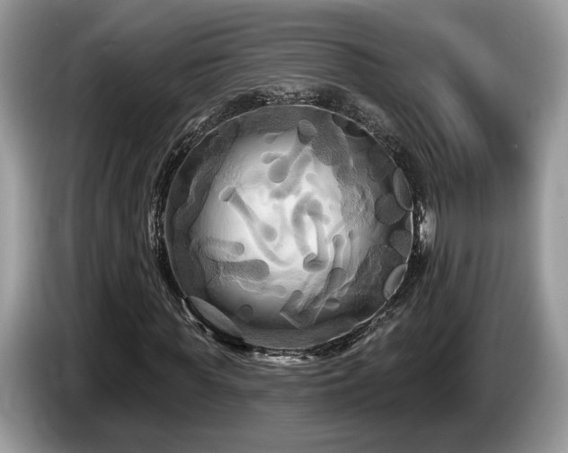 X0000087610819200704271339