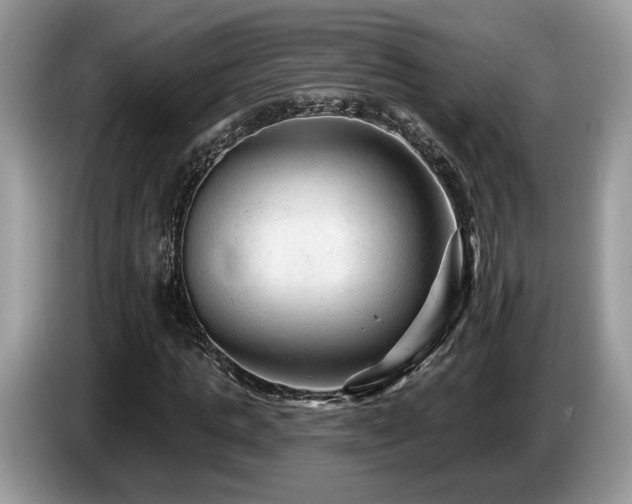 X0000087610821200704271339