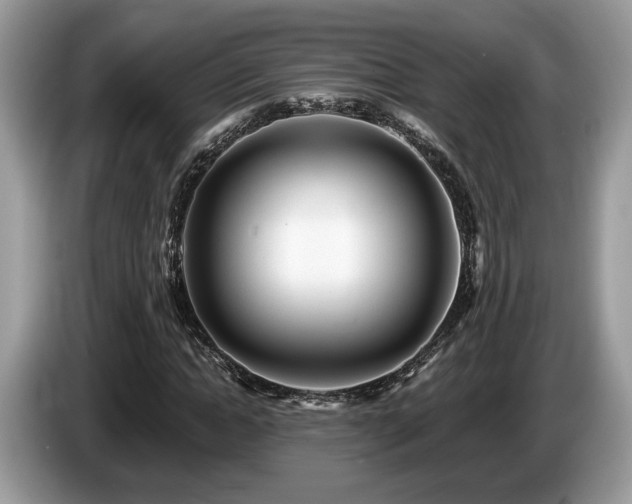 X0000087610822200704271339