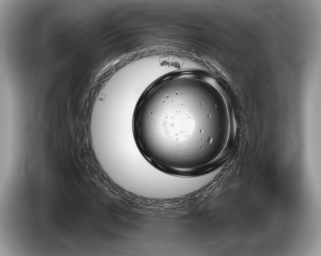 X0000087610824200704271339