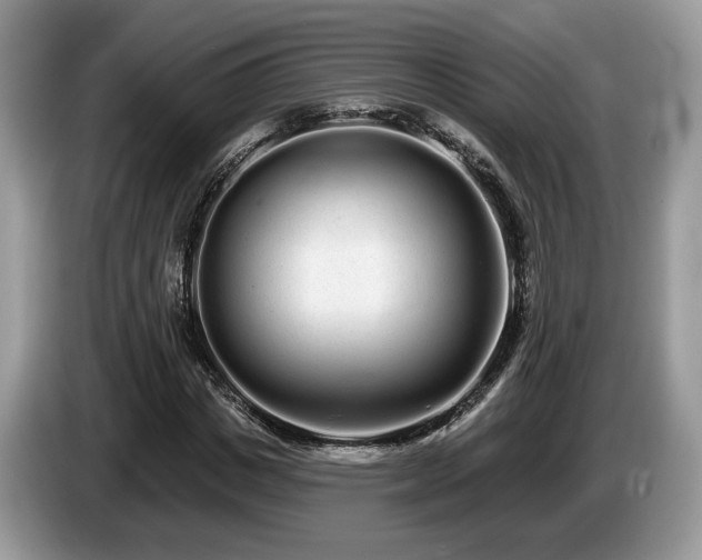 X0000087610825200704271339