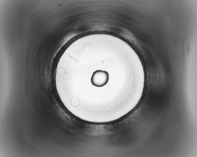X0000087610828200704271339