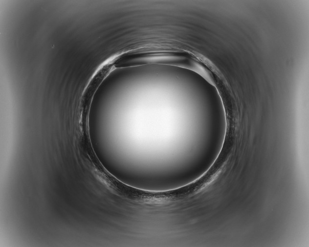 X0000087610830200704271339