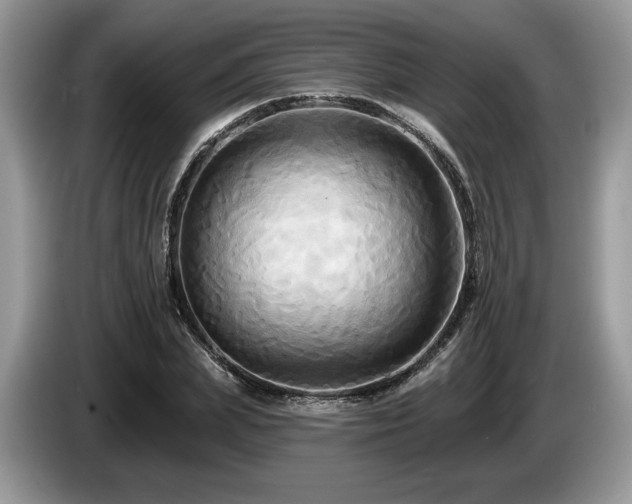 X0000087610831200704271339