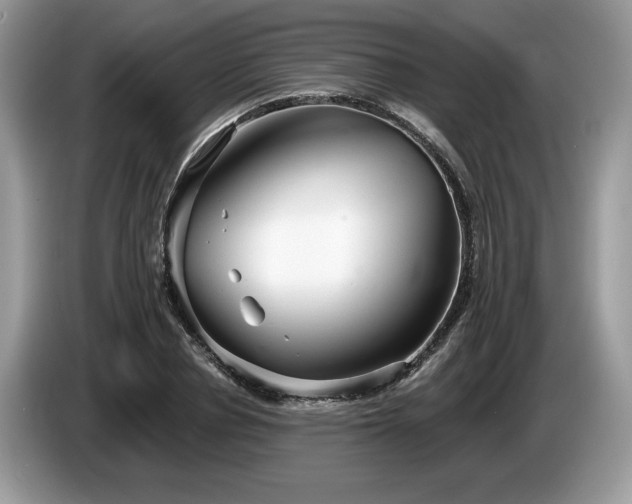 X0000087610834200704271339