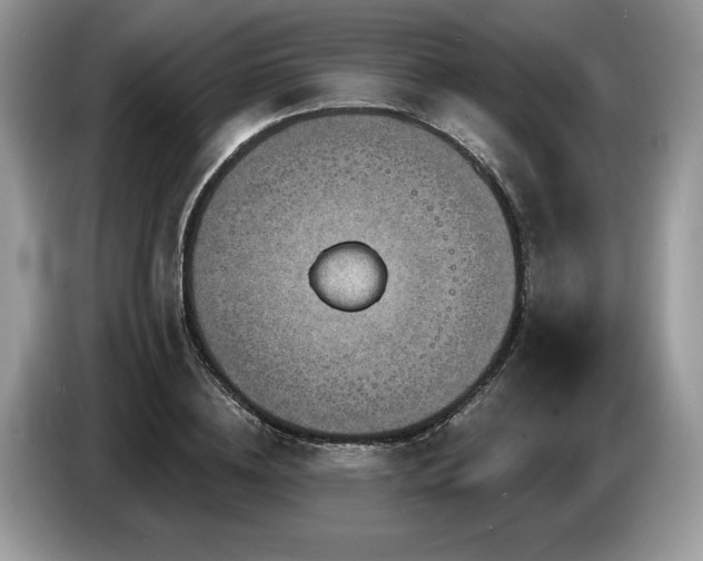 X0000087610836200704271339
