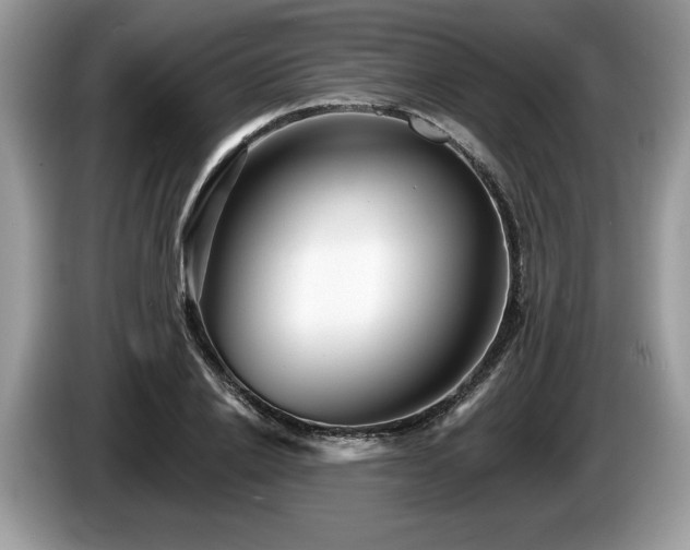 X0000087610838200704271339