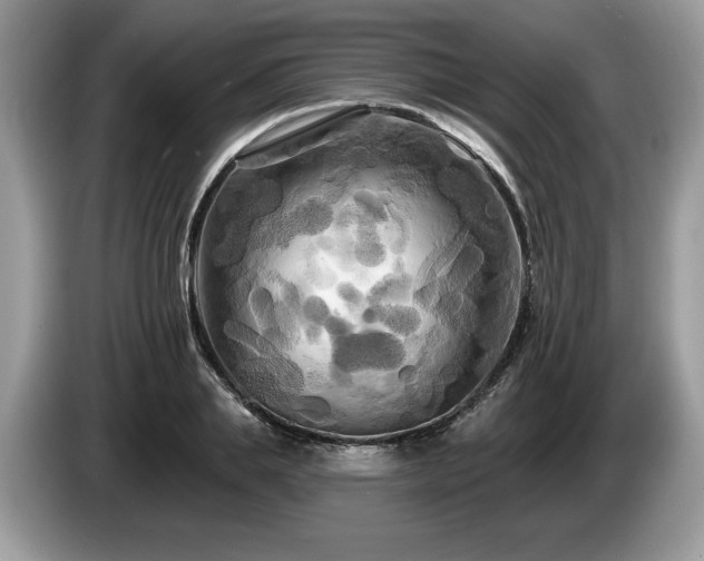 X0000087610839200704271339