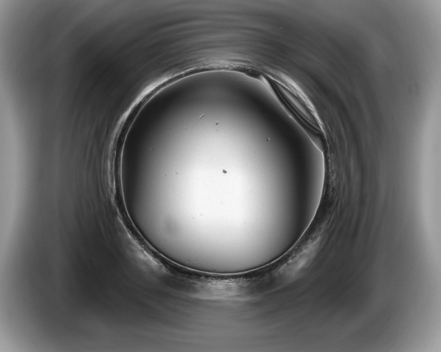 X0000087610843200704271339