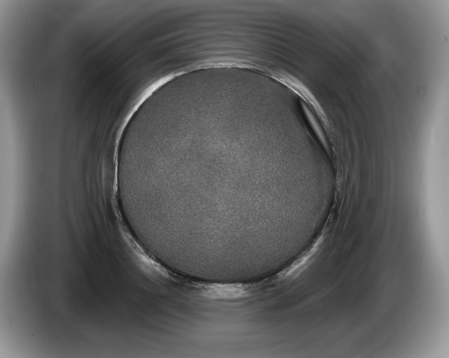 X0000087610844200704271339