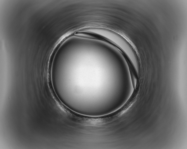X0000087610845200704271339