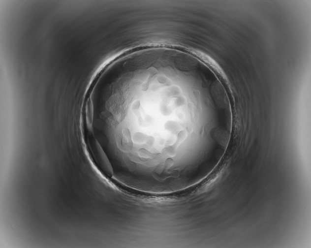 X0000087610847200704271339