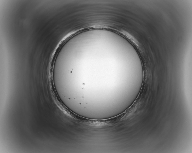 X0000087610848200704271339