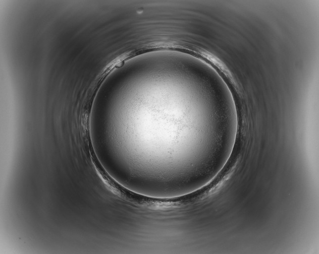 X0000087610849200704271339